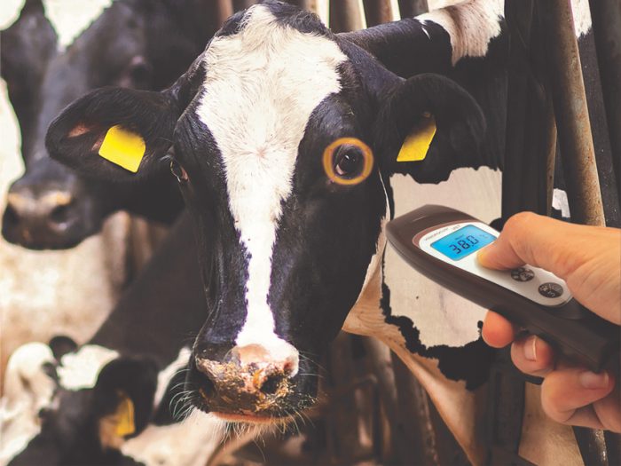 TERMOMETRO A DISTANZA VETERINARIO VISIOFOCUS con Bluetooth